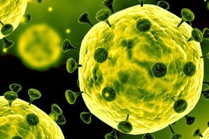 coronavirus
