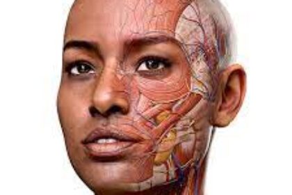 complete anatomy elsevier