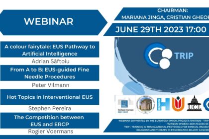 Webinar